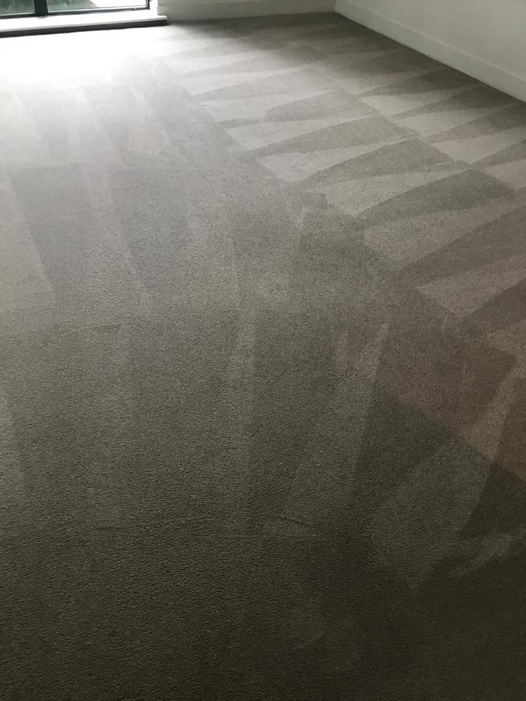 carpet cleaners irvine