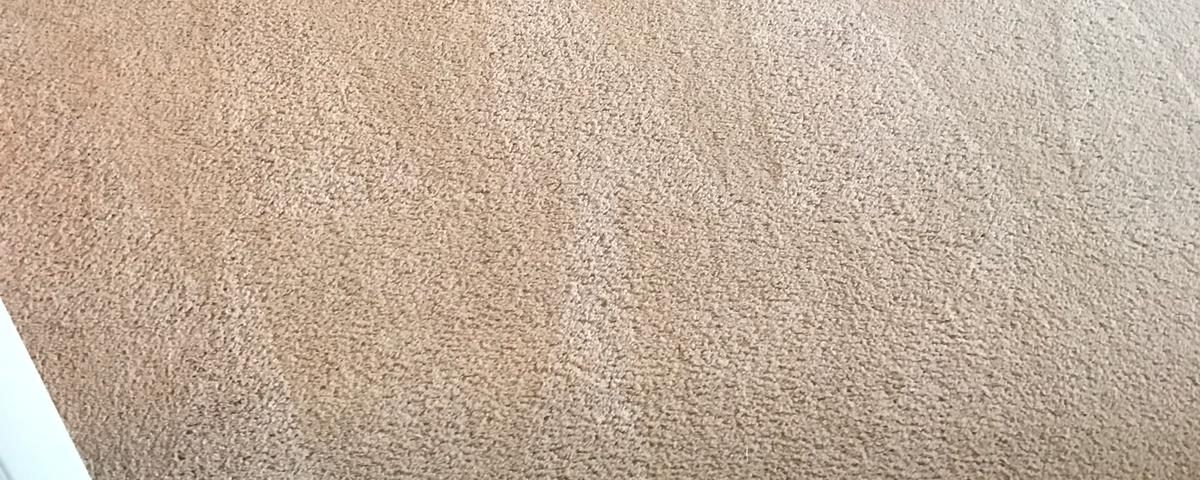 carpet cleaning irvine