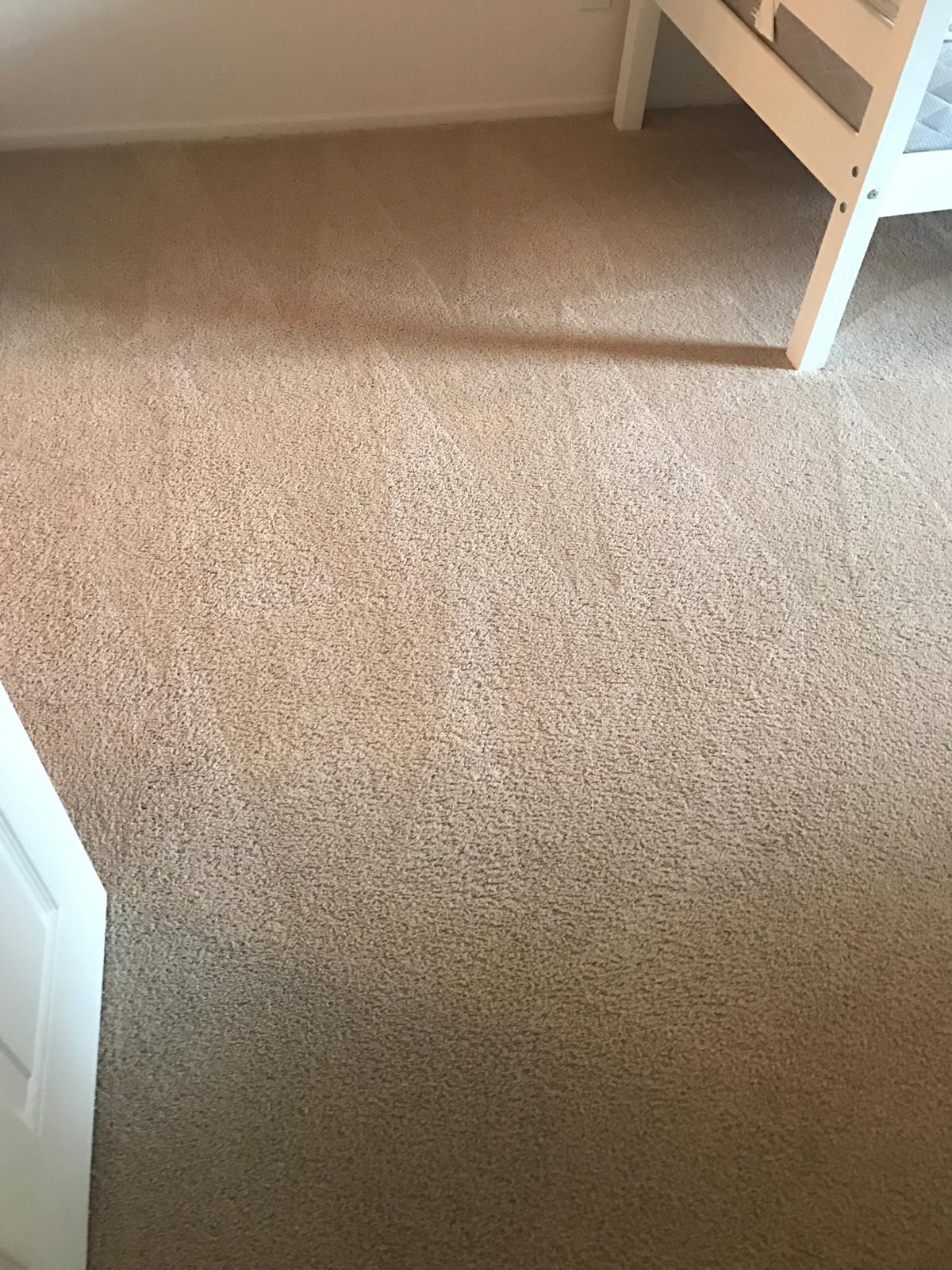 carpet cleaning irvine