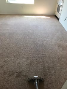 best irvine local carpet cleaners