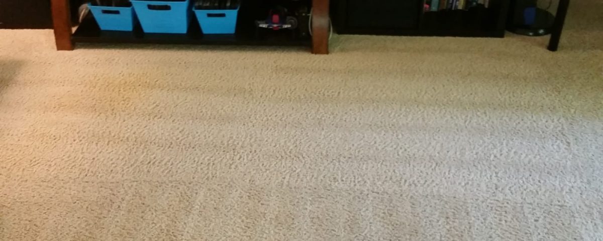 carpet cleaning near me