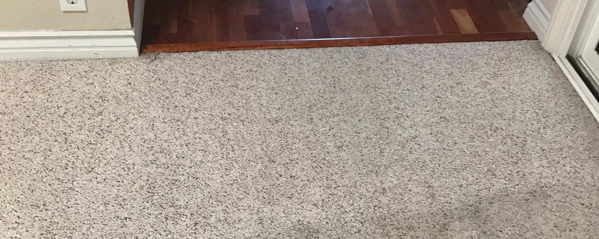 professional carpet cleaners irvine